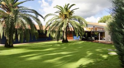 Casa 7 habitaciones de 738 m² en Sant Vicenç de Montalt (08394)