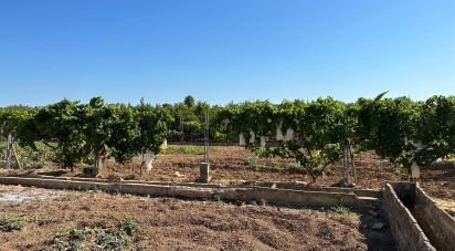 Land of 17,857 m² in Urbanización Monte Pego (03789)