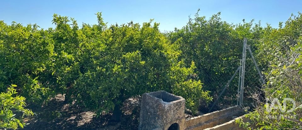 Land of 17,857 m² in Urbanización Monte Pego (03789)