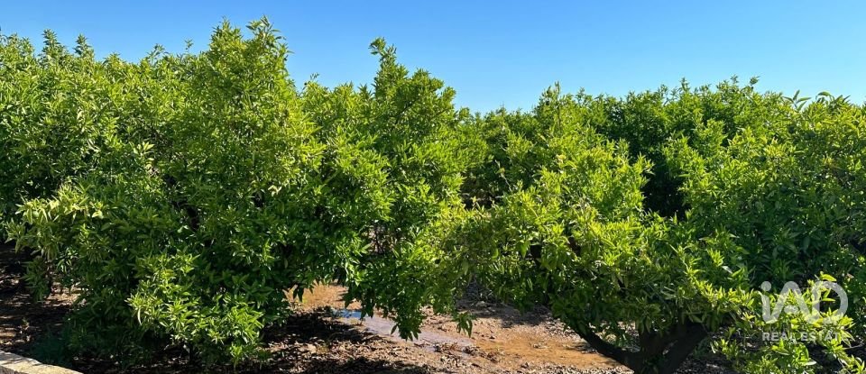 Land of 17,857 m² in Urbanización Monte Pego (03789)