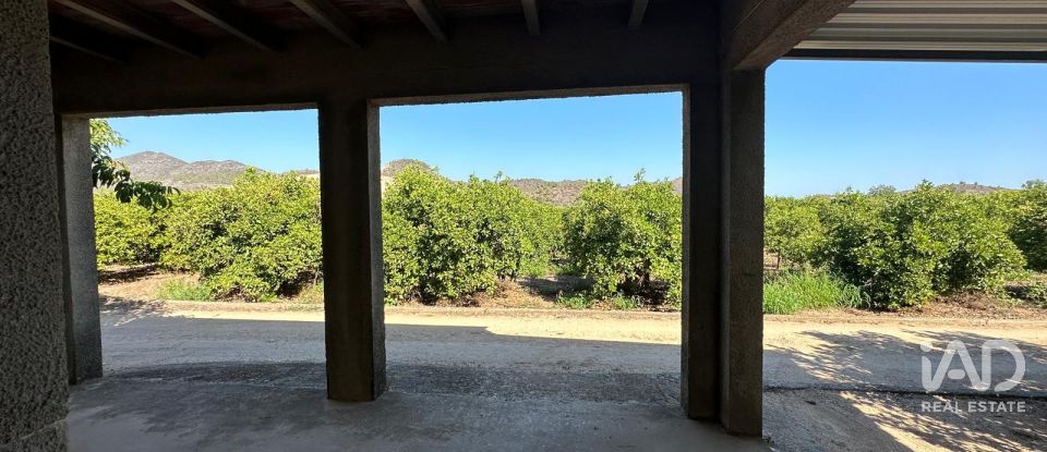 Land of 17,857 m² in Urbanización Monte Pego (03789)