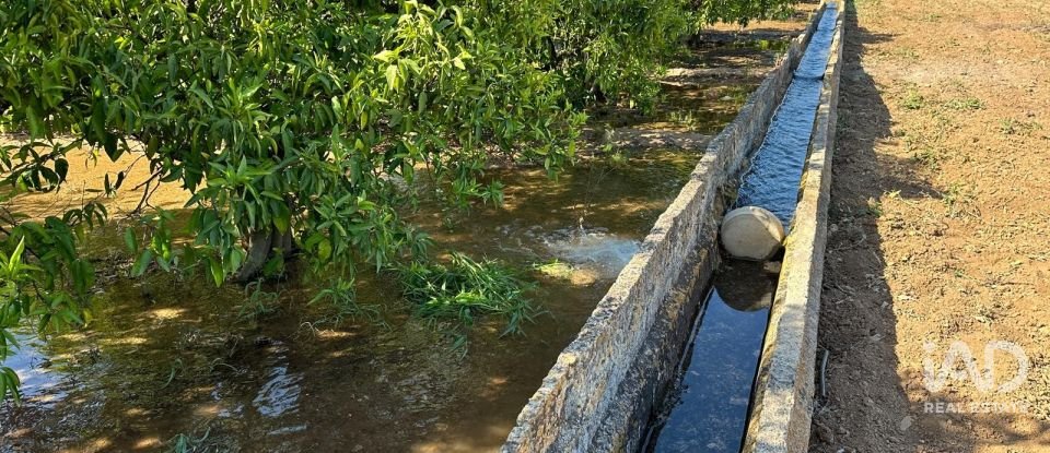 Land of 17,857 m² in Urbanización Monte Pego (03789)