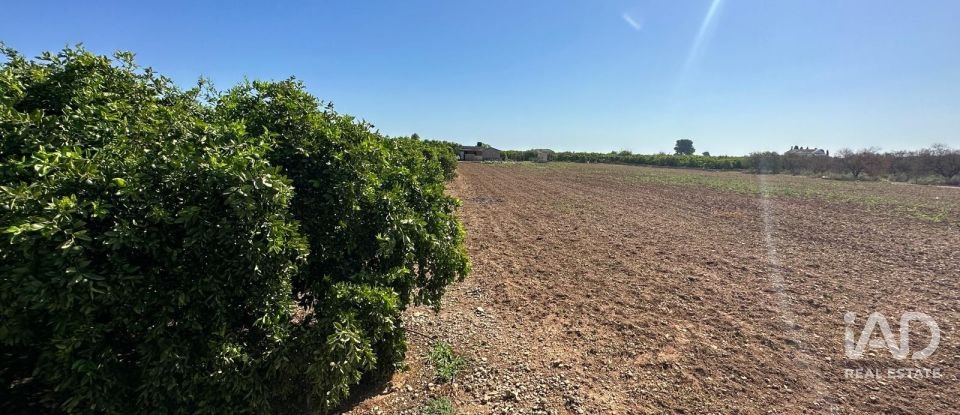 Land of 17,857 m² in Urbanización Monte Pego (03789)