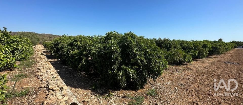 Land of 17,857 m² in Urbanización Monte Pego (03789)