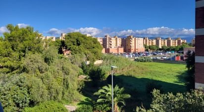 Apartment 3 bedrooms of 80 m² in Palma de Mallorca (07009)