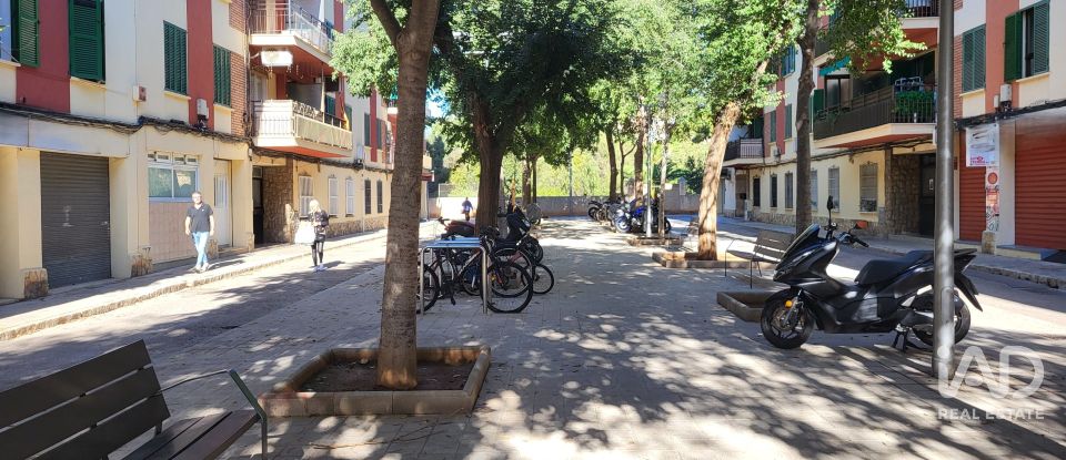 Pis 3 habitacions de 80 m² a Palma de Mallorca (07009)