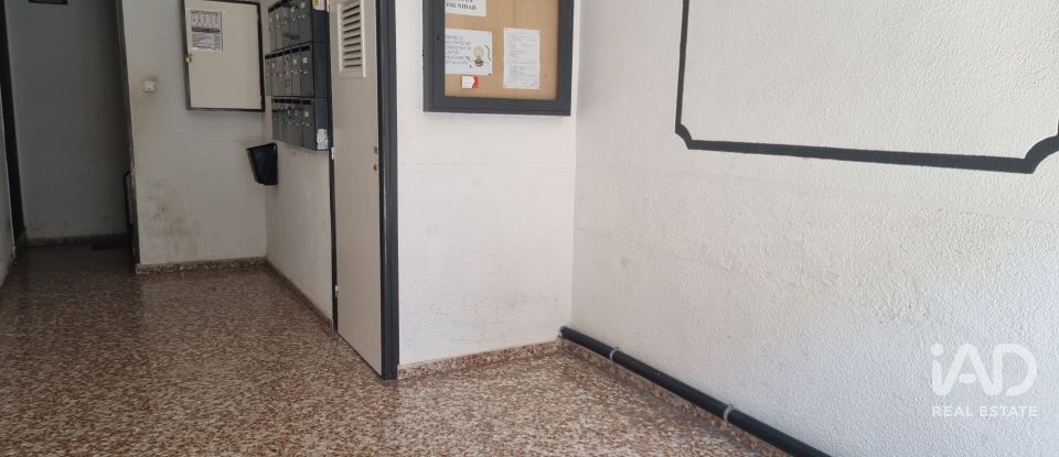 Apartment 2 bedrooms of 55 m² in Cubelles (08880)