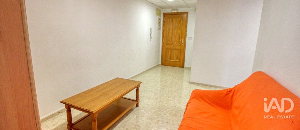 Estudio 3 habitaciones de 75 m² en Oliva (46780)