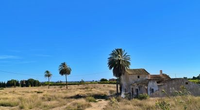 Land of 44,870 m² in Elx/Elche (03292)