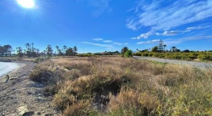 Land of 44,870 m² in Elx/Elche (03292)