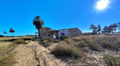 Land of 44,870 m² in Elx/Elche (03292)