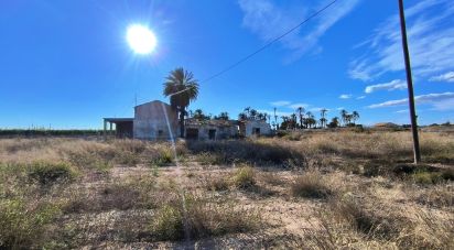 Land of 44,870 m² in Elx/Elche (03292)