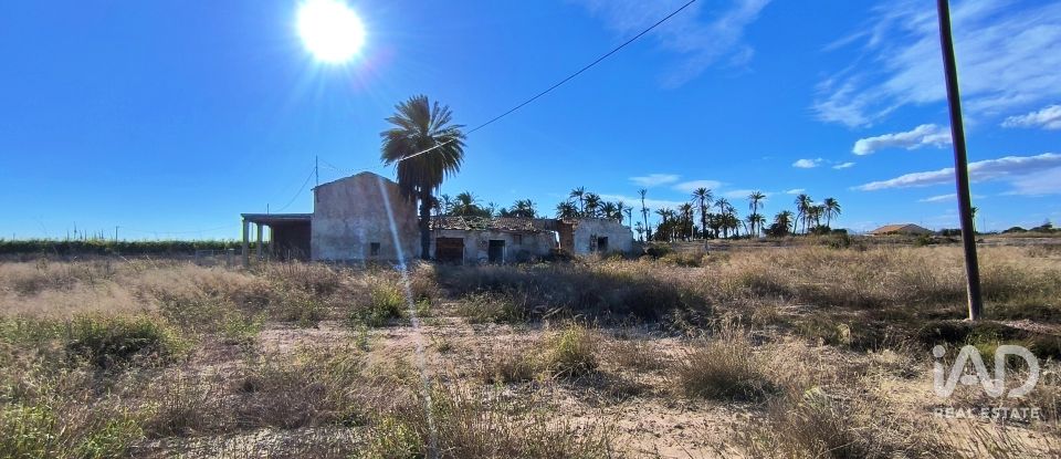 Terreno de 44.870 m² en Elx/Elche (03292)