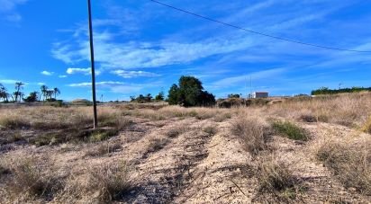 Land of 44,870 m² in Elx/Elche (03292)