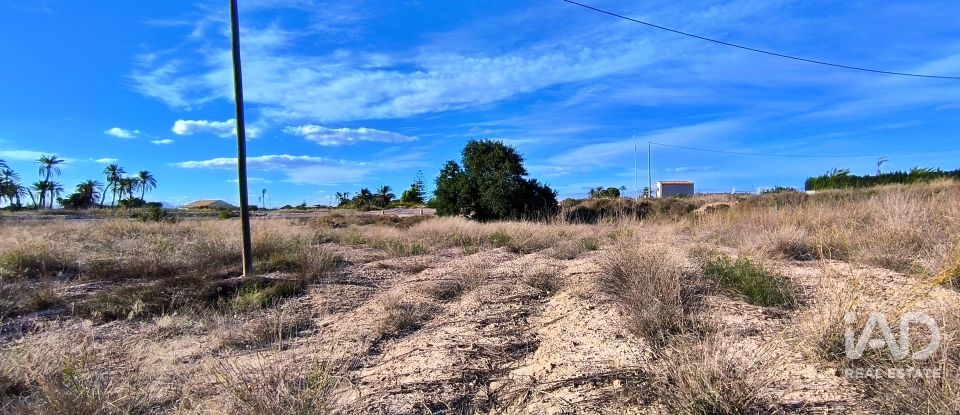 Terreno de 44.870 m² en Elx/Elche (03292)