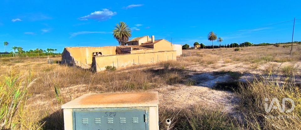 Terreno de 44.870 m² en Elx/Elche (03292)