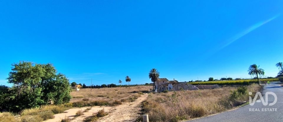 Terreno de 44.870 m² en Elx/Elche (03292)
