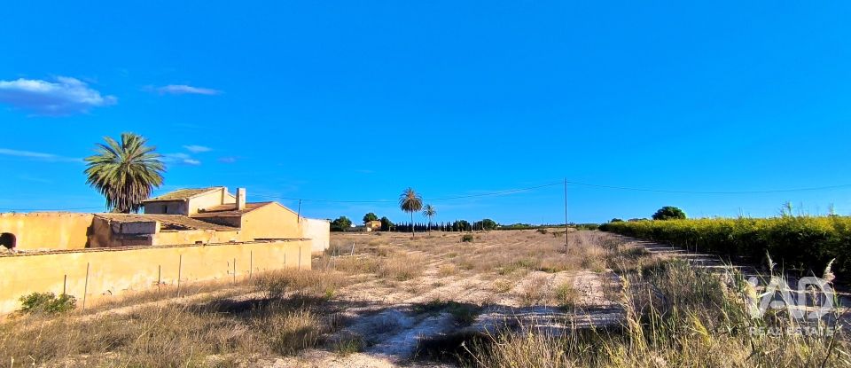 Terreno de 44.870 m² en Elx/Elche (03292)