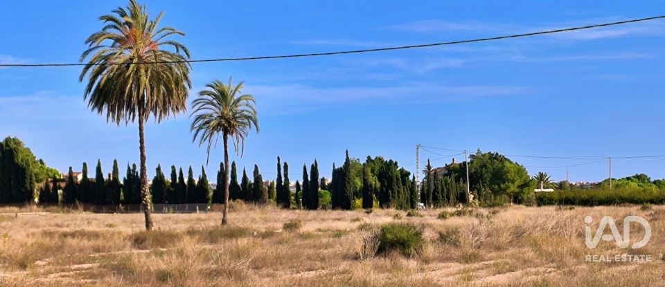 Terreno de 44.870 m² en Elx/Elche (03292)