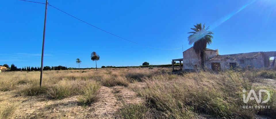 Terreno de 44.870 m² en Elx/Elche (03292)