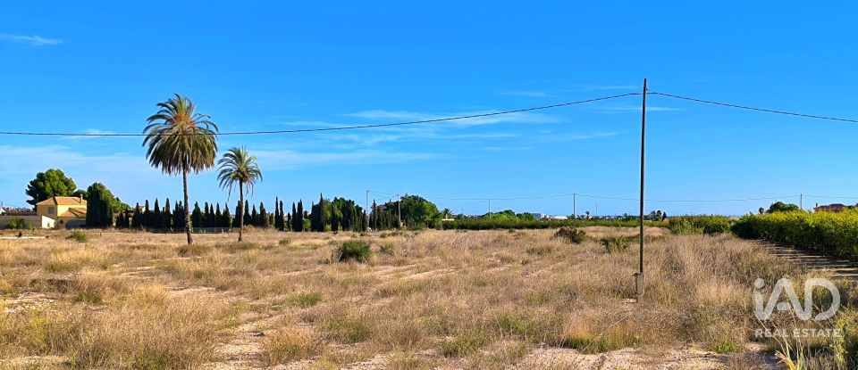 Terreno de 44.870 m² en Elx/Elche (03292)