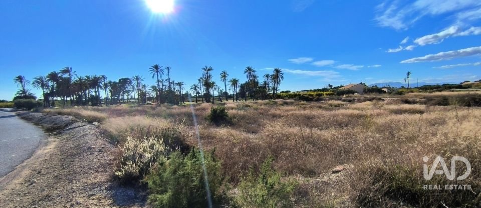 Terreno de 44.870 m² en Elx/Elche (03292)