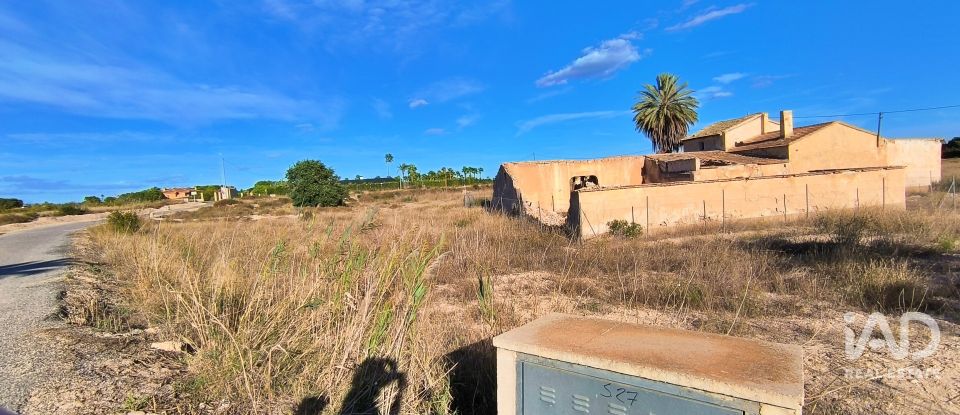 Terreno de 44.870 m² en Elx/Elche (03292)