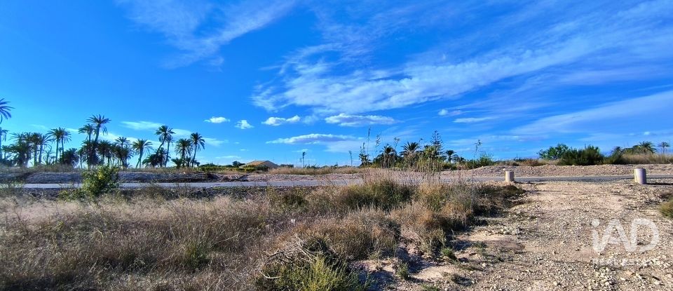 Terreno de 44.870 m² en Elx/Elche (03292)