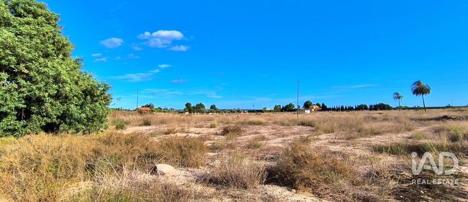 Terreno de 44.870 m² en Elx/Elche (03292)