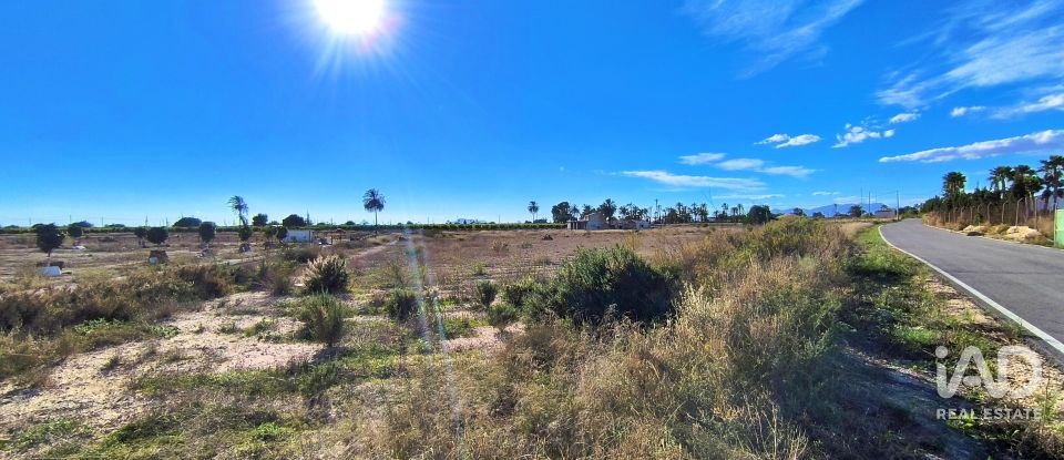 Terreno de 44.870 m² en Elx/Elche (03292)