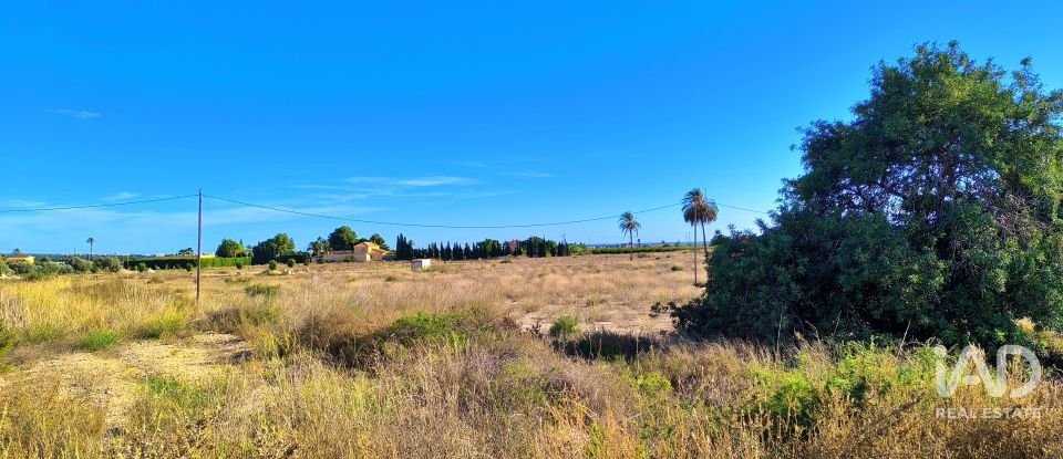 Terreno de 44.870 m² en Elx/Elche (03292)