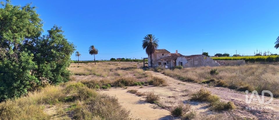 Terreno de 44.870 m² en Elx/Elche (03292)