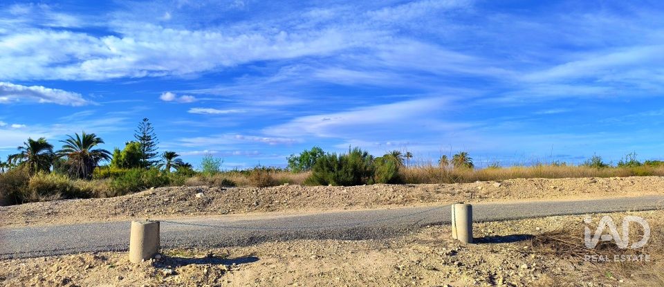 Terreno de 44.870 m² en Elx/Elche (03292)