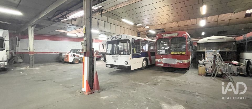 Immeuble de 1 612 m² à Sabadell (08206)