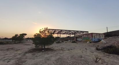 Land of 4,800 m² in Balsares (03195)