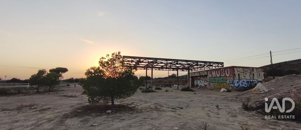 Terreno de 4.800 m² en Balsares (03195)