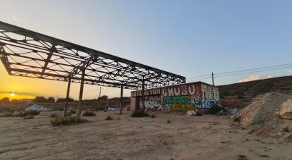 Land of 4,800 m² in Balsares (03195)