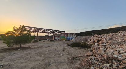 Land of 4,800 m² in Balsares (03195)