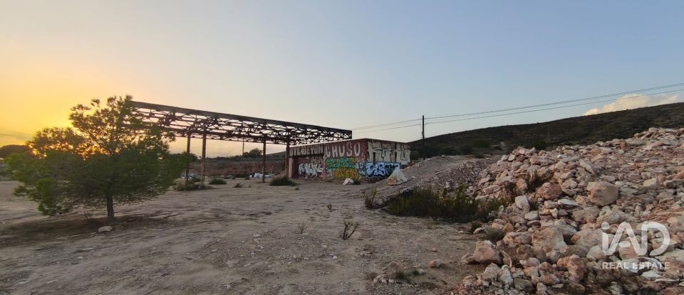 Terreno de 4.800 m² en Balsares (03195)