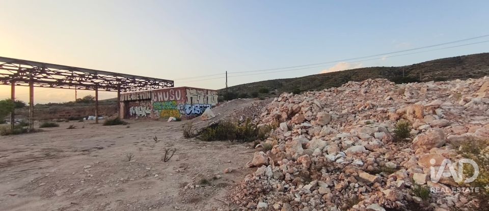 Terreno de 4.800 m² en Balsares (03195)