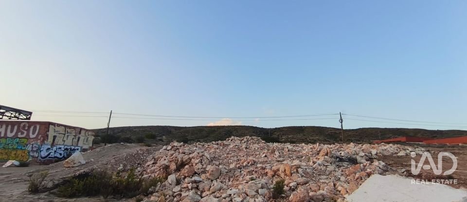 Terreno de 4.800 m² en Balsares (03195)