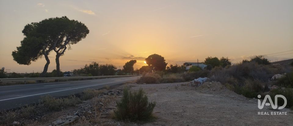 Terreno de 4.800 m² en Balsares (03195)