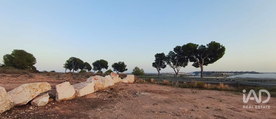 Terreno de 4.800 m² en Balsares (03195)