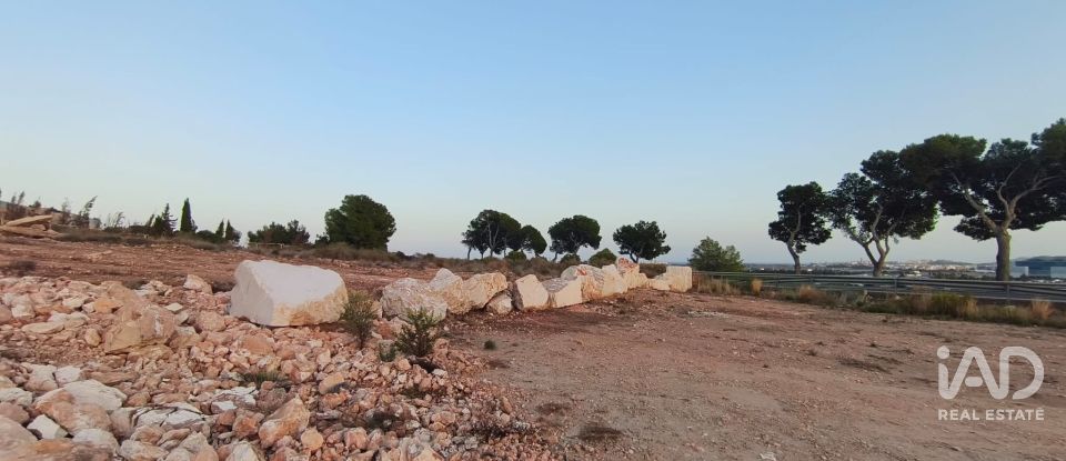 Terreno de 4.800 m² en Balsares (03195)