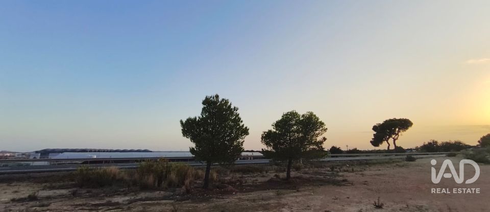 Terreno de 4.800 m² en Balsares (03195)