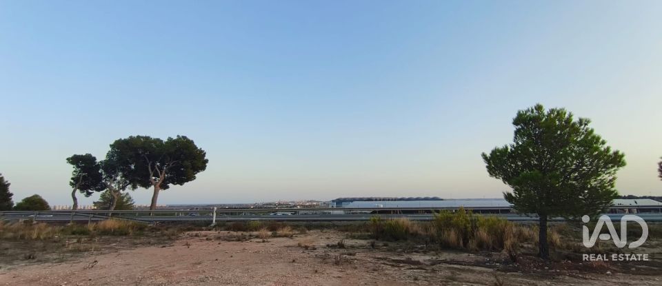 Terreno de 4.800 m² en Balsares (03195)