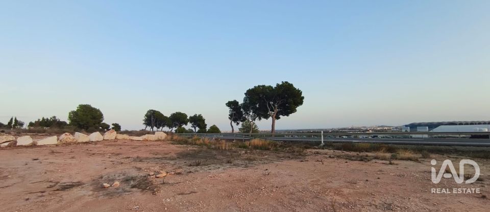 Terreno de 4.800 m² en Balsares (03195)