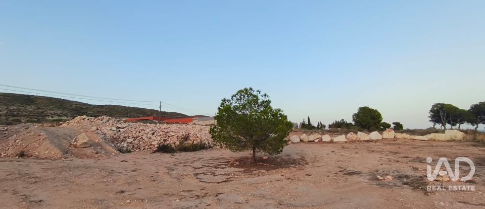 Terreno de 4.800 m² en Balsares (03195)
