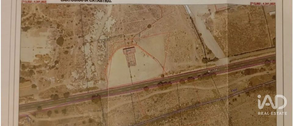 Terreno de 4.800 m² en Balsares (03195)