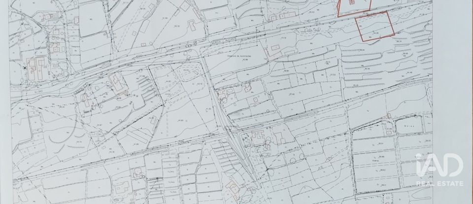 Terreno de 4.800 m² en Balsares (03195)